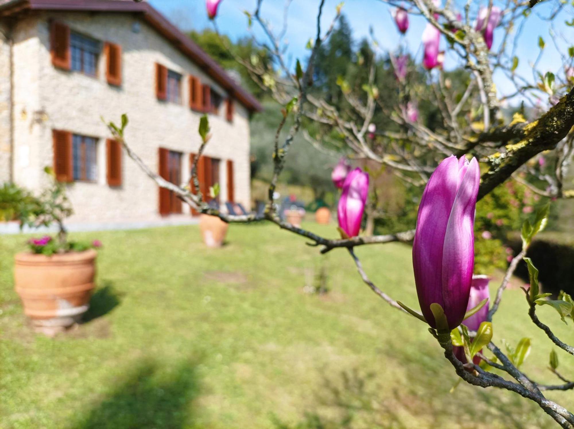 Villa Camelia Tuscany Pescia Exteriér fotografie