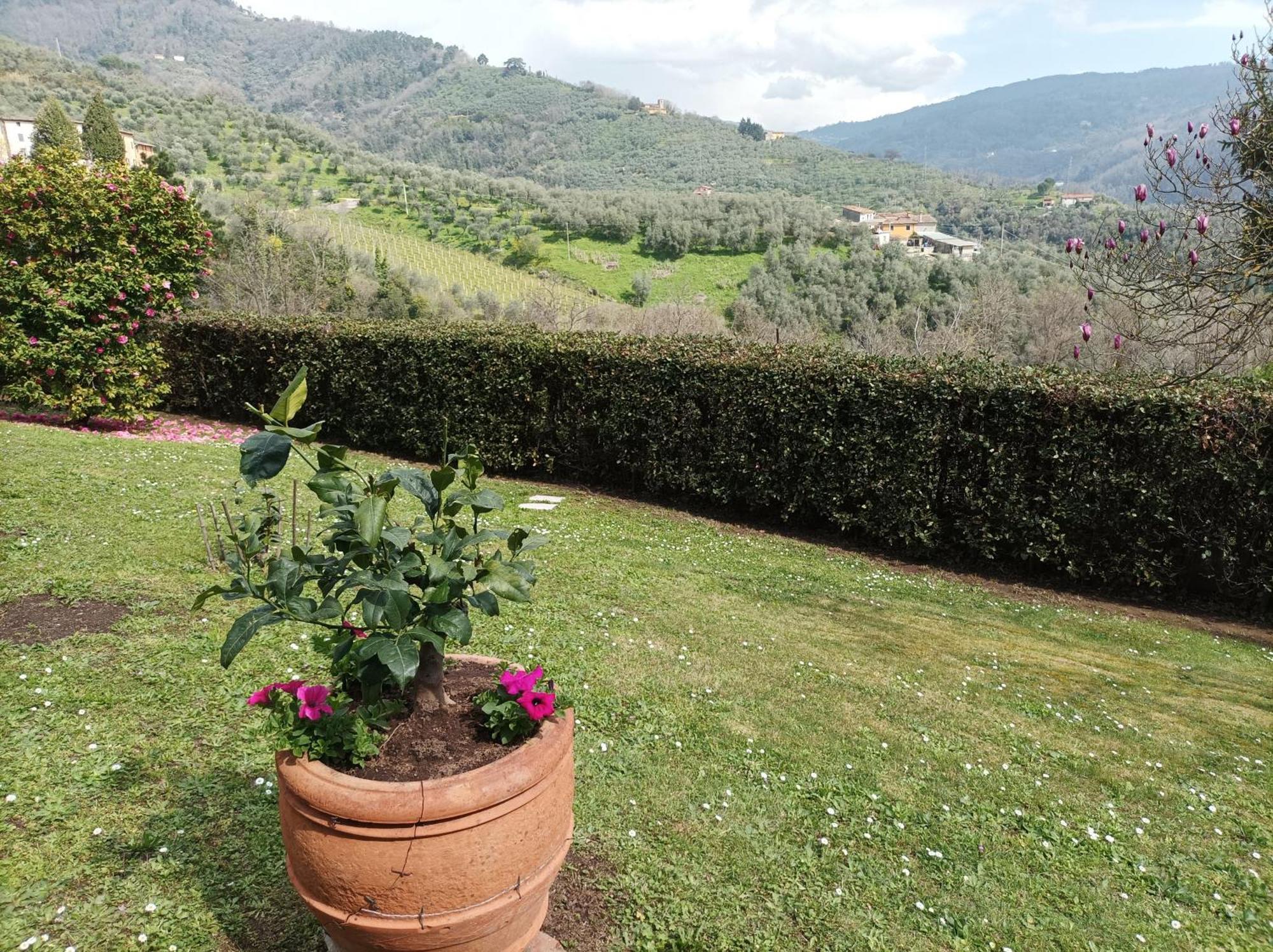 Villa Camelia Tuscany Pescia Exteriér fotografie